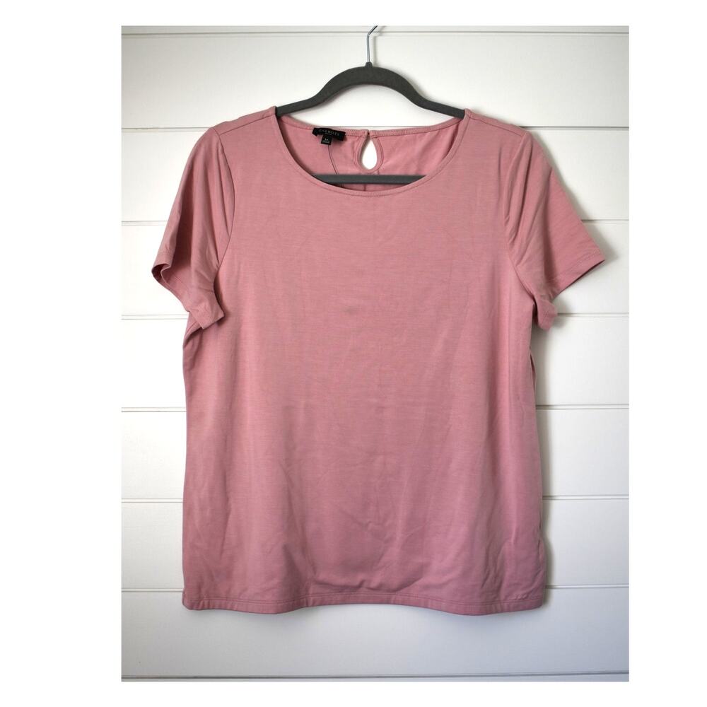 Talbots Pink Top Large Petite NWT Short-sleeve Shirt Pastel Light Rayon Stretch